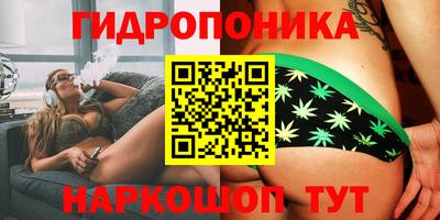 прущие крисы Аша