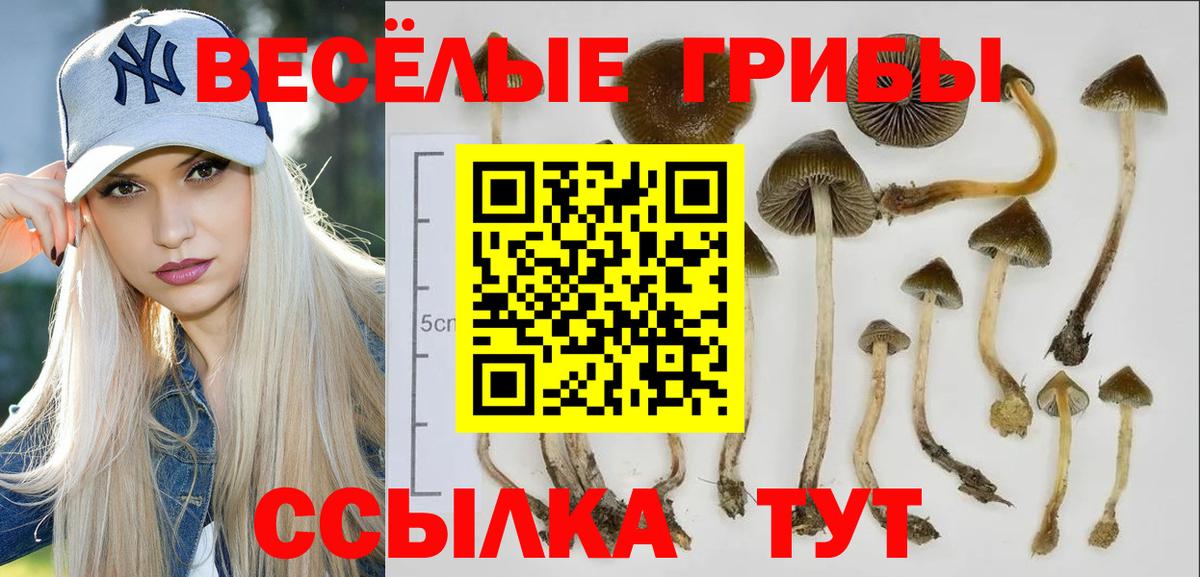 Галлюциногенные грибы GOLDEN TEACHER Лениногорск